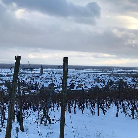 Апартаменты Le Logis Du Vignoble Кинцхайм Экстерьер фото
